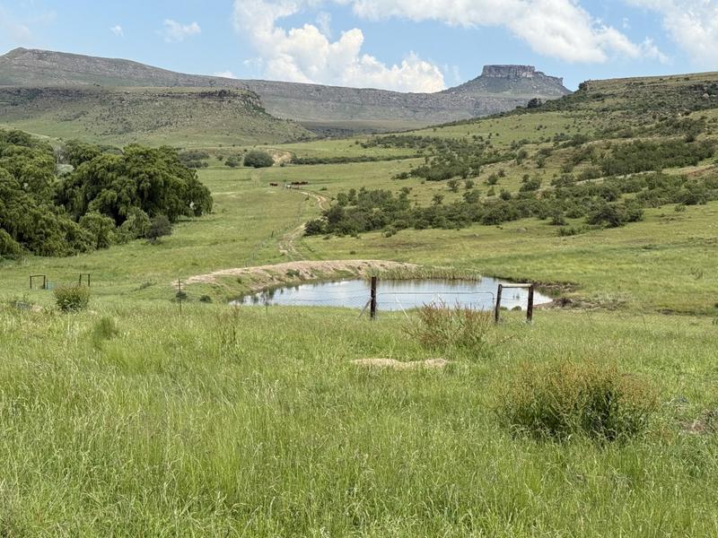 0 Bedroom Property for Sale in Harrismith Free State